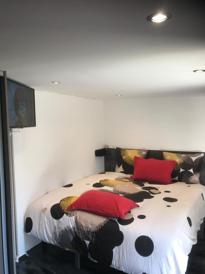 Majolaine Stade Apartment Meyzieu Luaran gambar